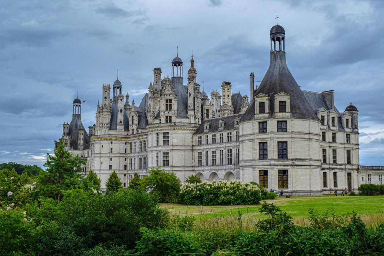 Auberge De La Caillere Cande-sur-Beuvron Екстер'єр фото
